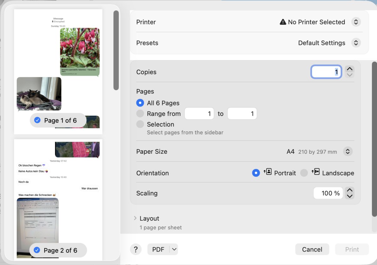 Messages Print command and macOS PDF option
