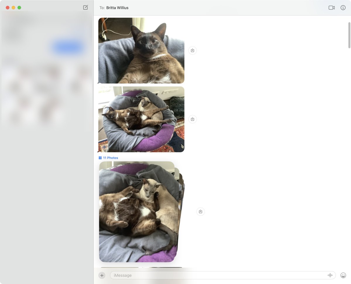 Nachrichten-App mit einzelnen Bildern und einer Bildgruppe in einer Unterhaltung
